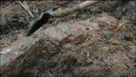 The Curse of Oak Island - Season 12 Episode 09